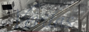 Kids in Cages on the southern border in US facility